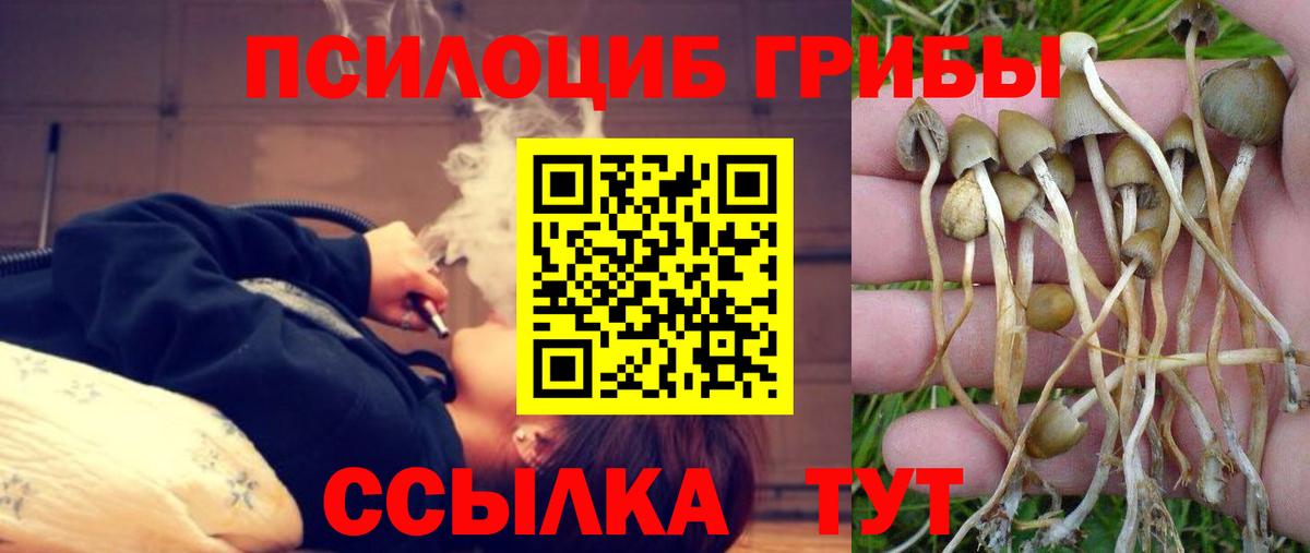 Галлюциногенные грибы прущие грибы  Псилоцибиновые грибы прущие грибы  Сердобск  Вход с VPN 